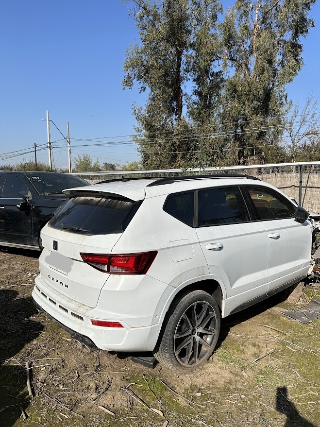 Seat Cupra